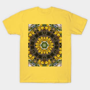 Sunny Side Up T-Shirt